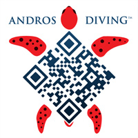 Andros Turtle